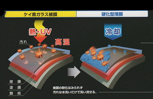 corting_pic4.png