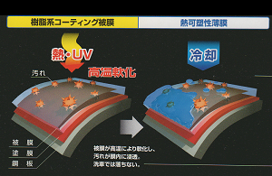 corting_pic5.png